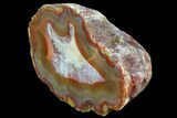 Beautiful Condor Agate From Argentina - Cut/Polished Face #79514-1